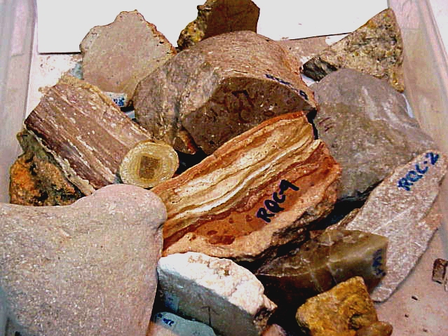 Rocas Carbonatadas
